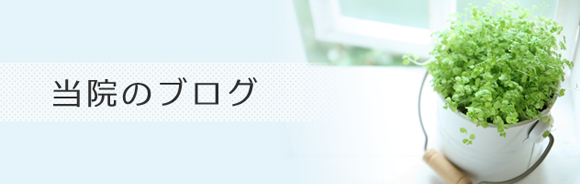 桜木町Nakajima整骨院はブログで健康やスポーツに関する情報を発信しております。